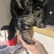 ヒメ日記 2026/04/18 06:16 投稿 ちか 吉原ファーストレディ