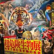 ちか 🦭🍖🦭 吉原ファーストレディ