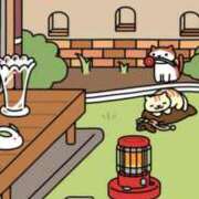 ヒメ日記 2024/12/13 18:36 投稿 あんず 吉原ファーストレディ