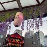 ヒメ日記 2025/01/01 17:18 投稿 あんず 吉原ファーストレディ