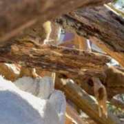 ヒメ日記 2025/01/21 23:23 投稿 あんず 吉原ファーストレディ