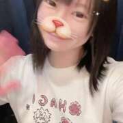 ヒメ日記 2025/04/12 14:16 投稿 あんず 吉原ファーストレディ