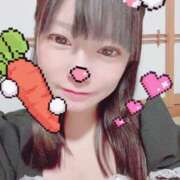 ヒメ日記 2025/04/13 06:16 投稿 あんず 吉原ファーストレディ