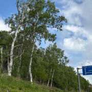 ヒメ日記 2025/07/01 00:34 投稿 あんず 吉原ファーストレディ