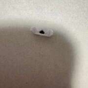 ヒメ日記 2025/07/25 07:07 投稿 あんず 吉原ファーストレディ