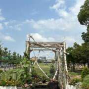 ヒメ日記 2025/08/01 10:46 投稿 あんず 吉原ファーストレディ