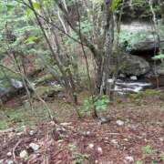 ヒメ日記 2025/08/11 17:21 投稿 あんず 吉原ファーストレディ