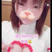 ヒメ日記 2025/08/13 00:57 投稿 あんず 吉原ファーストレディ