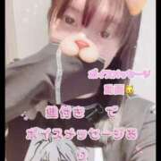 ヒメ日記 2025/08/19 05:56 投稿 あんず 吉原ファーストレディ