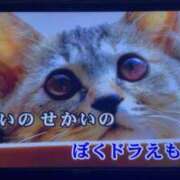 ヒメ日記 2025/08/19 23:51 投稿 あんず 吉原ファーストレディ