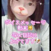 ヒメ日記 2025/08/27 05:39 投稿 あんず 吉原ファーストレディ