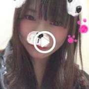 ヒメ日記 2025/08/28 12:21 投稿 あんず 吉原ファーストレディ