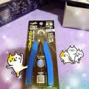 ヒメ日記 2025/09/20 19:28 投稿 あんず 吉原ファーストレディ