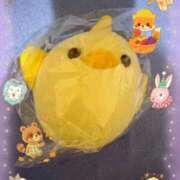 ヒメ日記 2025/09/23 01:16 投稿 あんず 吉原ファーストレディ