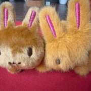 ヒメ日記 2025/10/26 20:49 投稿 あんず 吉原ファーストレディ