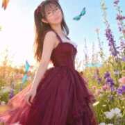 ヒメ日記 2025/11/10 14:36 投稿 あんず 吉原ファーストレディ