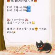 ヒメ日記 2025/11/13 04:36 投稿 あんず 吉原ファーストレディ