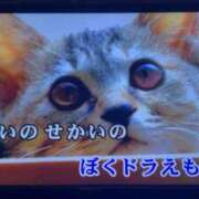 ヒメ日記 2025/11/22 09:17 投稿 あんず 吉原ファーストレディ