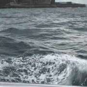 ヒメ日記 2025/11/28 12:36 投稿 あんず 吉原ファーストレディ