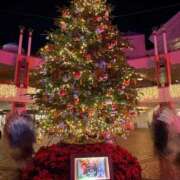 ヒメ日記 2025/12/06 08:25 投稿 あんず 吉原ファーストレディ