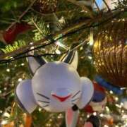 ヒメ日記 2025/12/07 09:59 投稿 あんず 吉原ファーストレディ