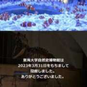 ヒメ日記 2025/12/20 16:46 投稿 あんず 吉原ファーストレディ