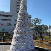 ヒメ日記 2025/12/23 15:46 投稿 あんず 吉原ファーストレディ