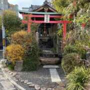 ヒメ日記 2025/12/23 22:55 投稿 あんず 吉原ファーストレディ