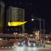 ヒメ日記 2026/01/09 12:56 投稿 あんず 吉原ファーストレディ