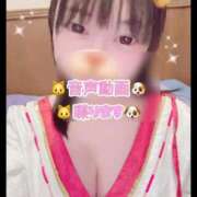 ヒメ日記 2026/01/19 08:13 投稿 あんず 吉原ファーストレディ