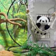 ヒメ日記 2026/01/23 12:55 投稿 あんず 吉原ファーストレディ