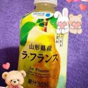 ヒメ日記 2026/01/24 08:26 投稿 あんず 吉原ファーストレディ