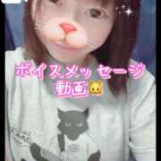 ヒメ日記 2026/01/28 05:22 投稿 あんず 吉原ファーストレディ