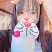 ヒメ日記 2026/02/22 06:50 投稿 あんず 吉原ファーストレディ