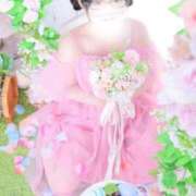 ヒメ日記 2026/02/23 07:17 投稿 あんず 吉原ファーストレディ