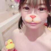 ヒメ日記 2026/03/09 00:23 投稿 あんず 吉原ファーストレディ