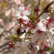 ヒメ日記 2026/03/14 20:18 投稿 あんず 吉原ファーストレディ