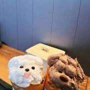 ヒメ日記 2026/03/18 15:17 投稿 あんず 吉原ファーストレディ