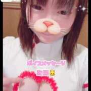 ヒメ日記 2026/03/25 07:06 投稿 あんず 吉原ファーストレディ