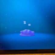 ヒメ日記 2026/03/26 15:21 投稿 あんず 吉原ファーストレディ