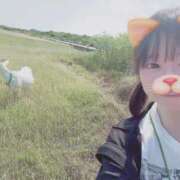 ヒメ日記 2026/03/26 17:16 投稿 あんず 吉原ファーストレディ