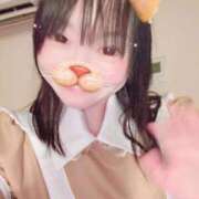 ヒメ日記 2026/04/07 08:36 投稿 あんず 吉原ファーストレディ