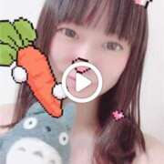 ヒメ日記 2026/04/11 23:18 投稿 あんず 吉原ファーストレディ