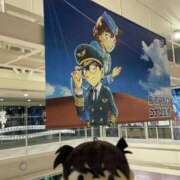 ヒメ日記 2026/04/13 06:16 投稿 あんず 吉原ファーストレディ