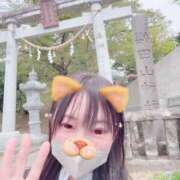 ヒメ日記 2026/04/24 12:23 投稿 あんず 吉原ファーストレディ