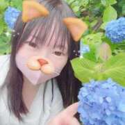 ヒメ日記 2026/06/02 12:26 投稿 あんず 吉原ファーストレディ