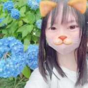 ヒメ日記 2026/06/03 06:56 投稿 あんず 吉原ファーストレディ