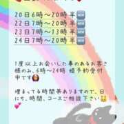 ヒメ日記 2026/06/19 20:16 投稿 あんず 吉原ファーストレディ
