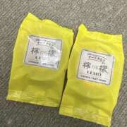 ヒメ日記 2025/01/29 01:37 投稿 りいさ 吉原ファーストレディ