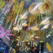 ヒメ日記 2025/02/22 17:56 投稿 りいさ 吉原ファーストレディ